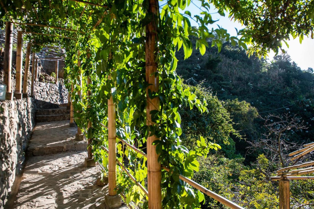 Hotel El Picnic Atitlán Tzununá Esterno foto